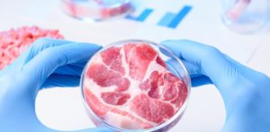 Carne biotech