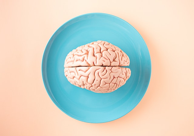 cerebro en un plato