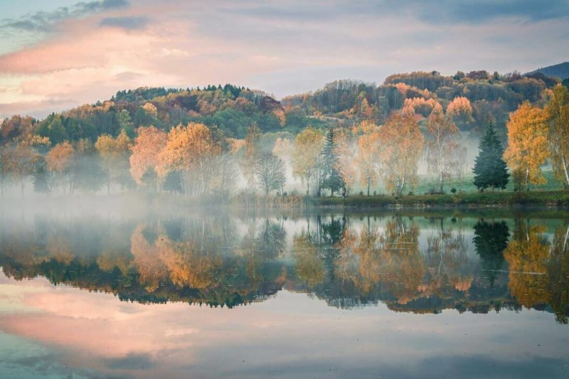Volunteers Launch Global Reforestation Challenge